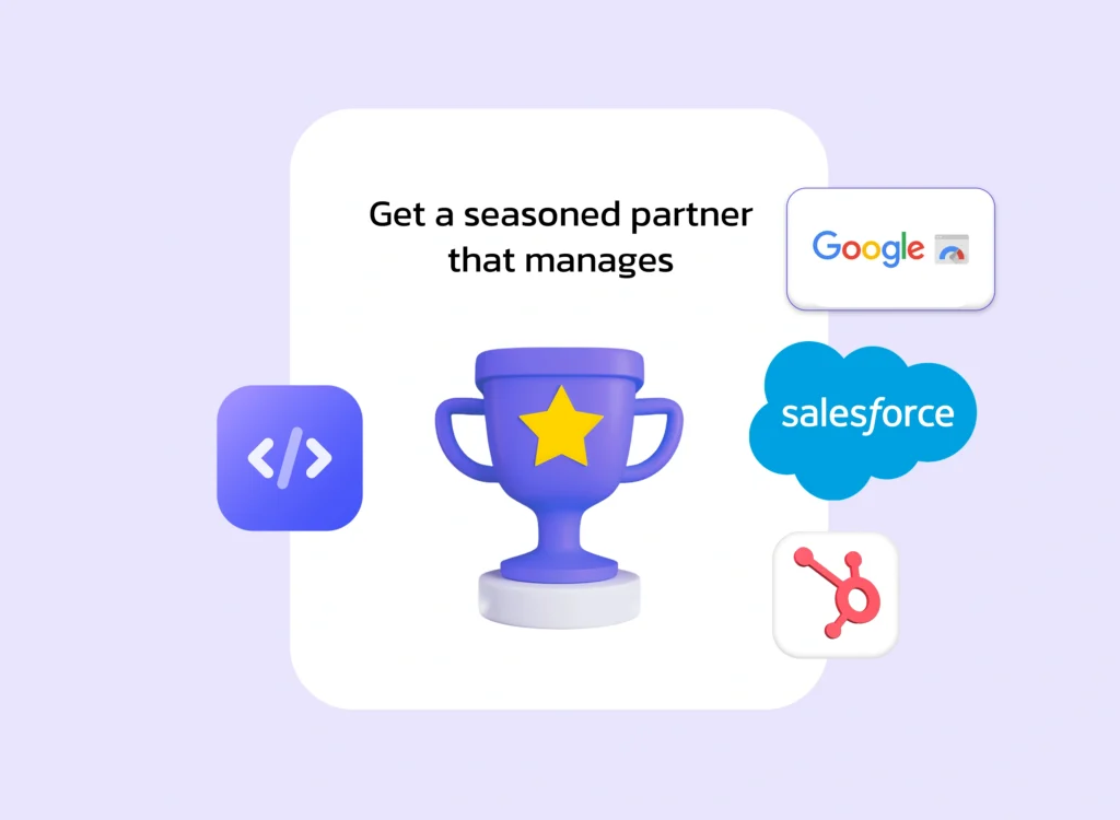 Website management and platform integrations with Google, Salesforce and HubSpot tools representing digital system management